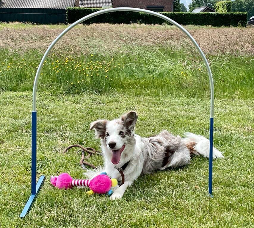 Kaya